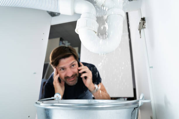 Best Sprinkler Systems  in Alorton, IL