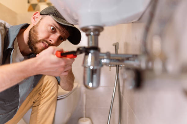 Best Plumbing Inspection Services  in Alorton, IL
