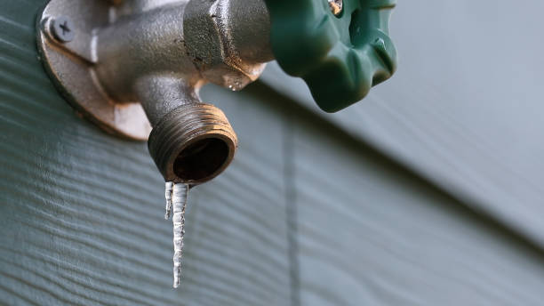 Best Water Leak Repair  in Alorton, IL